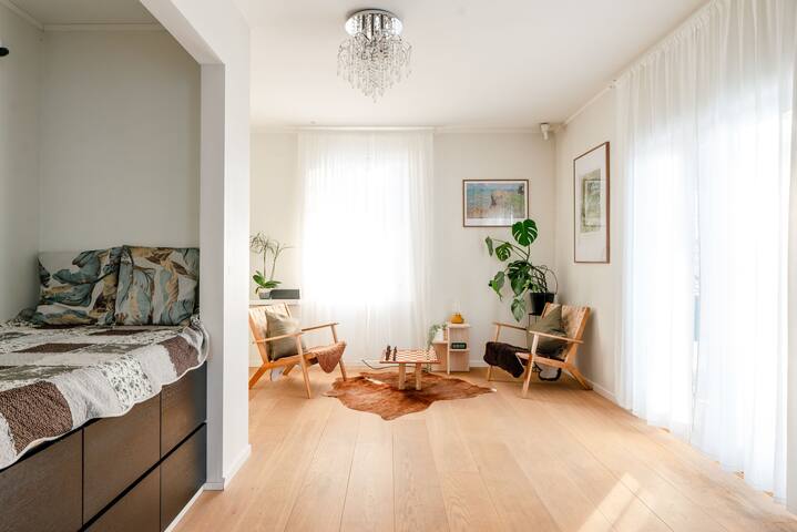 Modern Swiss Villa in central Oslo. Free parking. gallery image 5