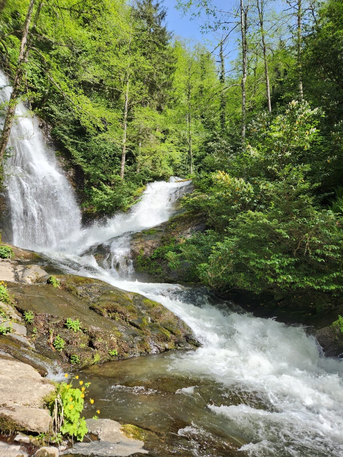 A cascading waterfall flows over rocky terrain, surrounded by vibrant greenery. The sunlight filters through the trees, creating a serene atmosphere. Water splashes gently, contributing to the natural soundscape of the area.