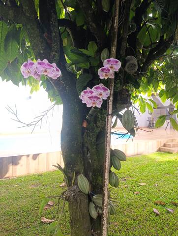 CasaTemporada até20 hóspedes. RecantodosTucanos gallery image 4