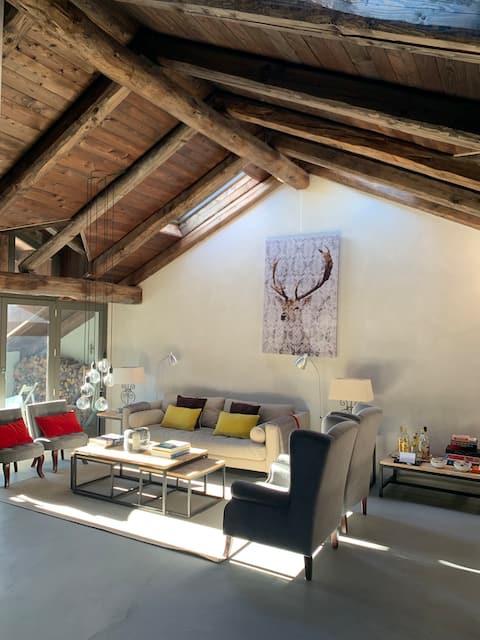 Large 5 bedroom apartment Claviere