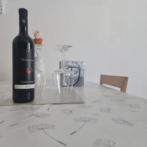 Top performing Airbnb: Josef apartment, center in Nova Gorica