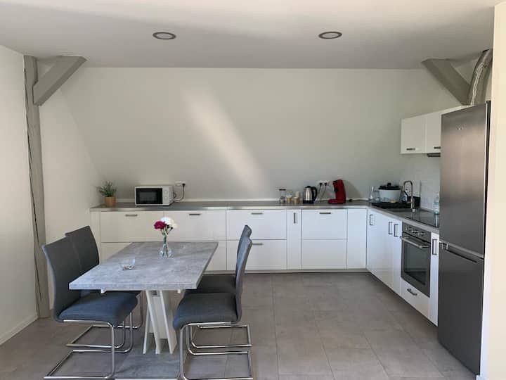 Appartement Neuf Moderne Strasbourg - Schiltigheim