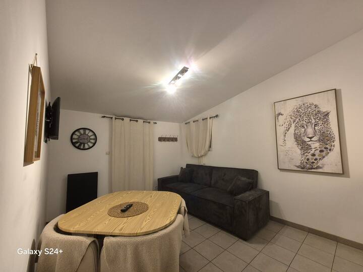 Logement T2 Dans Un Cadre Verdoyant Et Calme - Saint-Sylvain-d'Anjou