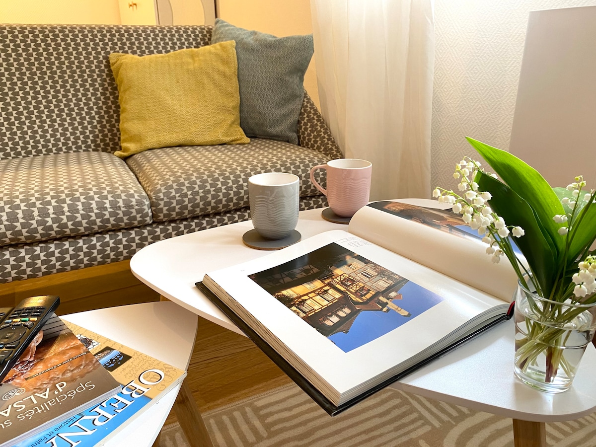 Propriété Airbnb réussie: Apartment near Strasbourg with garage à Schiltigheim
