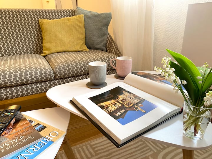 Appartement Proche Strasbourg Avec Garage - Schiltigheim
