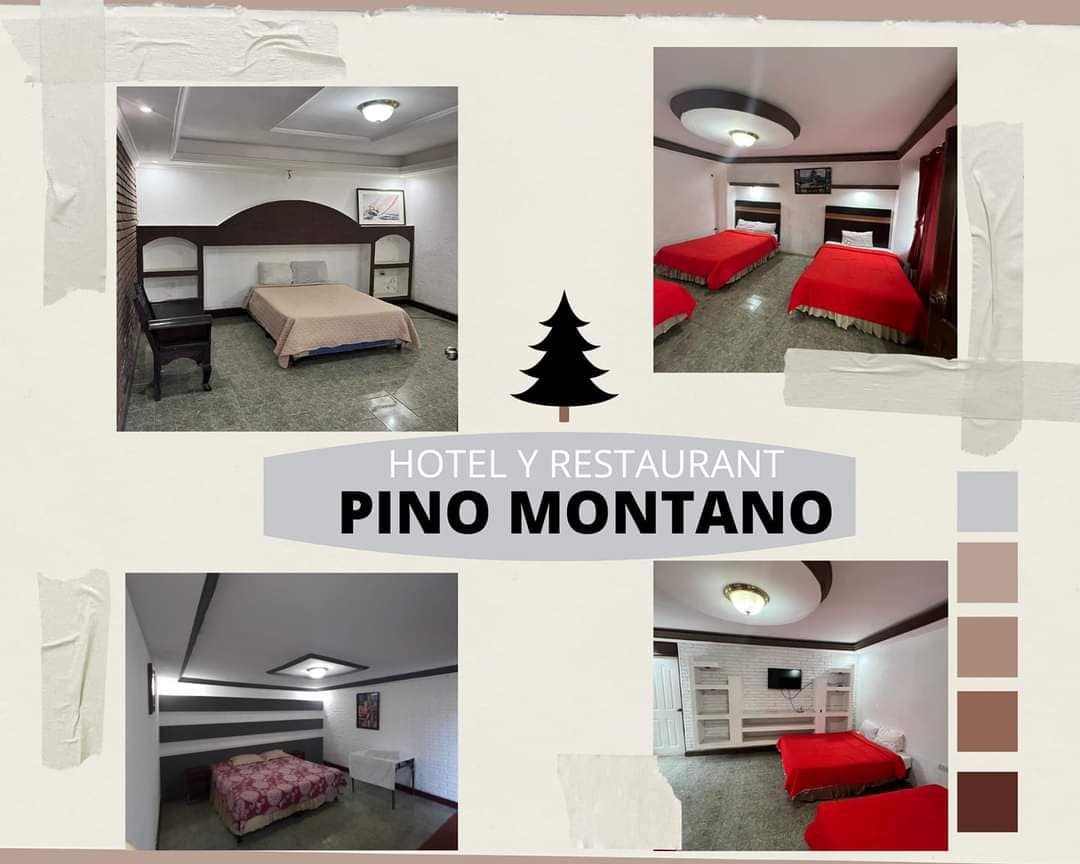 A spacious room features two beds with distinct bedding styles, one in a neutral tone and another in vibrant red. Dark wood furnishings and soft lighting enhance the environment, while decorative elements add visual interest. A wall-mounted television is present, providing entertainment options.