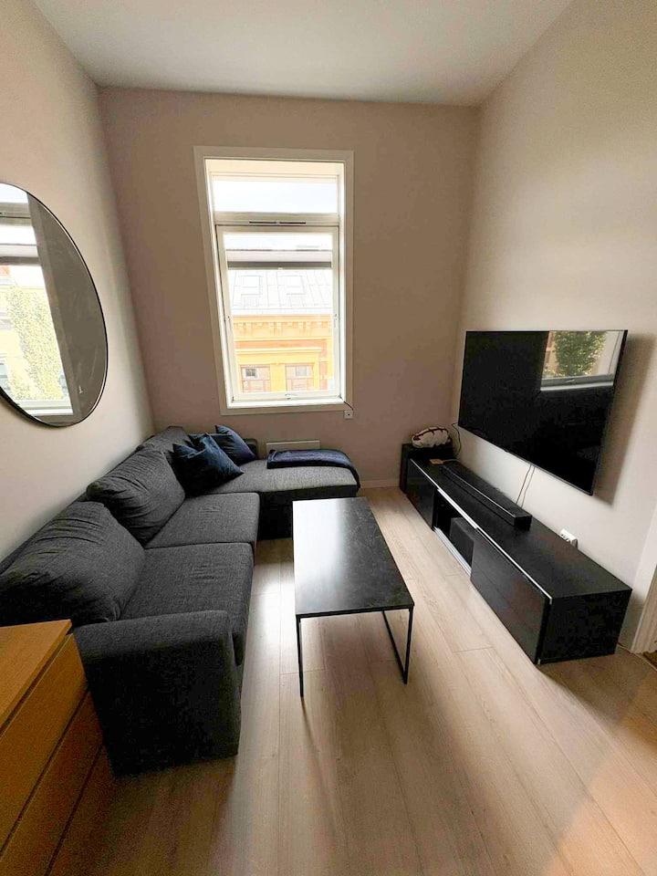 Central Apartment Just 5 Min From Central Statio - Oslo