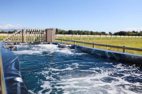 The Stables at Tauwharenīkau
