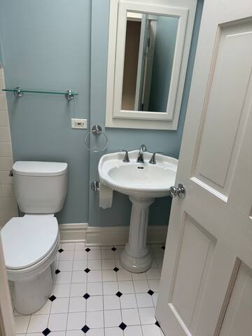 Beautiful Lincoln Park House gallery image 5