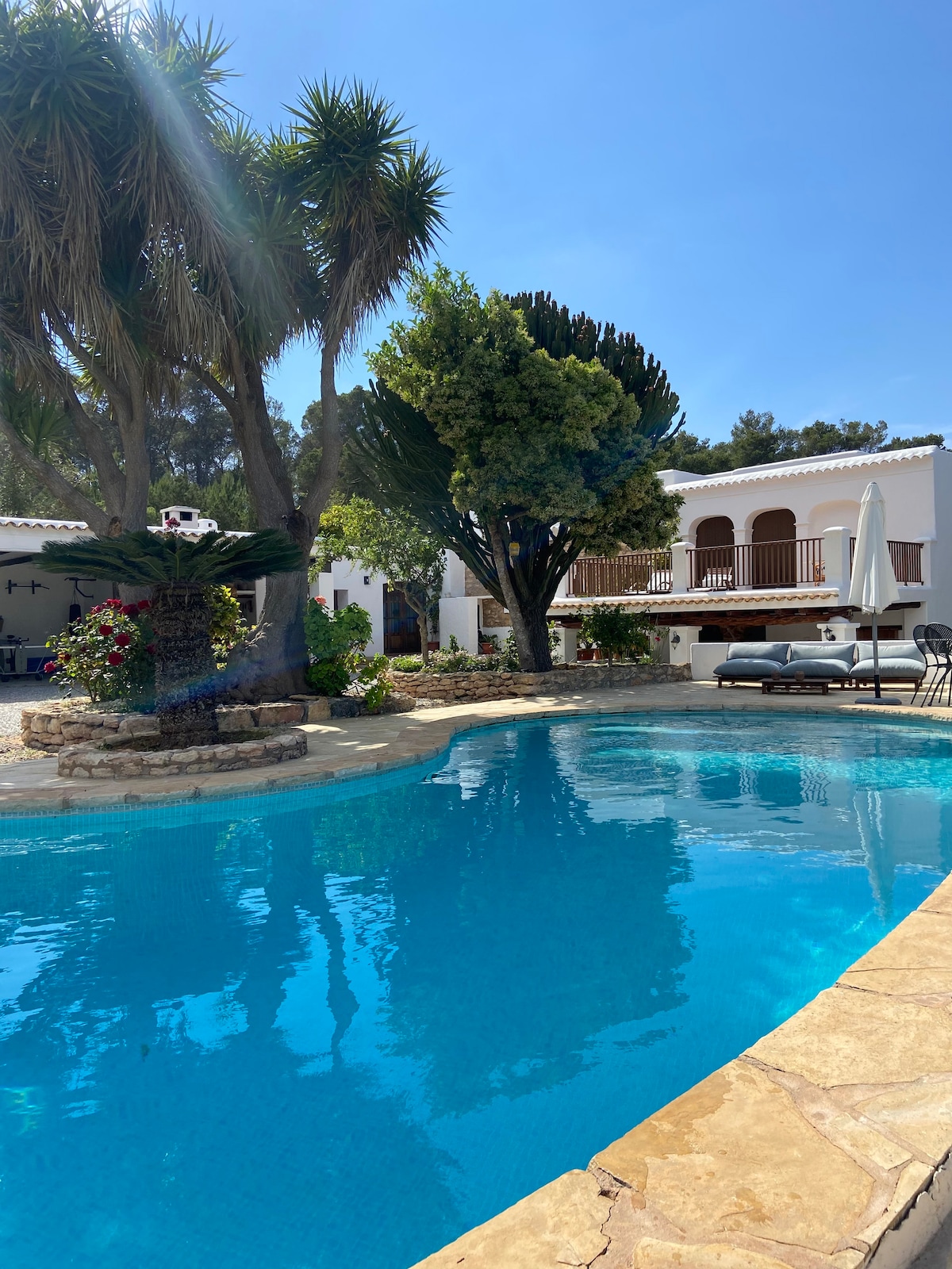 A tranquil outdoor space is highlighted by a sparkling swimming pool surrounded by lush greenery and palm trees. The villa's white walls are visible in the background, complemented by shaded areas for relaxation. Sunlight reflects gently on the water's surface, creating a serene atmosphere.