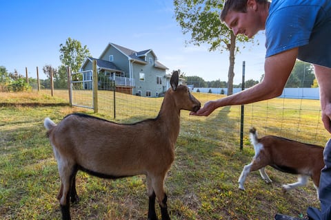 The Goat House | Waterfront | Hottub | Stargazing