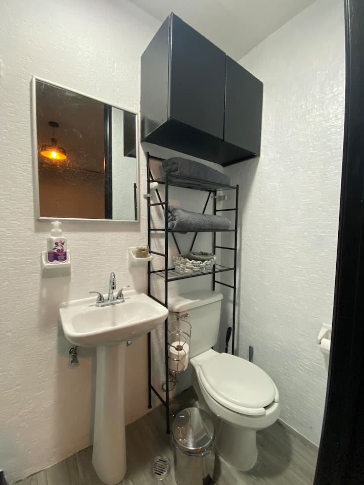 Habitación Ejecutiva, Junto A Hospital Español - Mexiko-Stadt