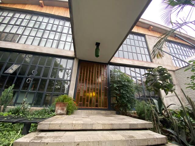 Coyoacán Luxurious Home & garden gallery image 2