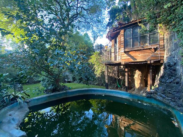 Coyoacán Luxurious Home & garden gallery image 5