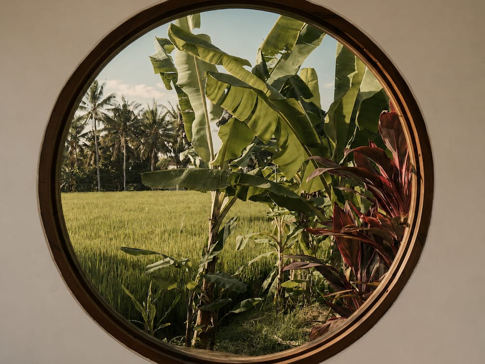 Villa Rani, among the Ubud rice fields, Ubud, Bali, Indonesia, photo 3 of 10