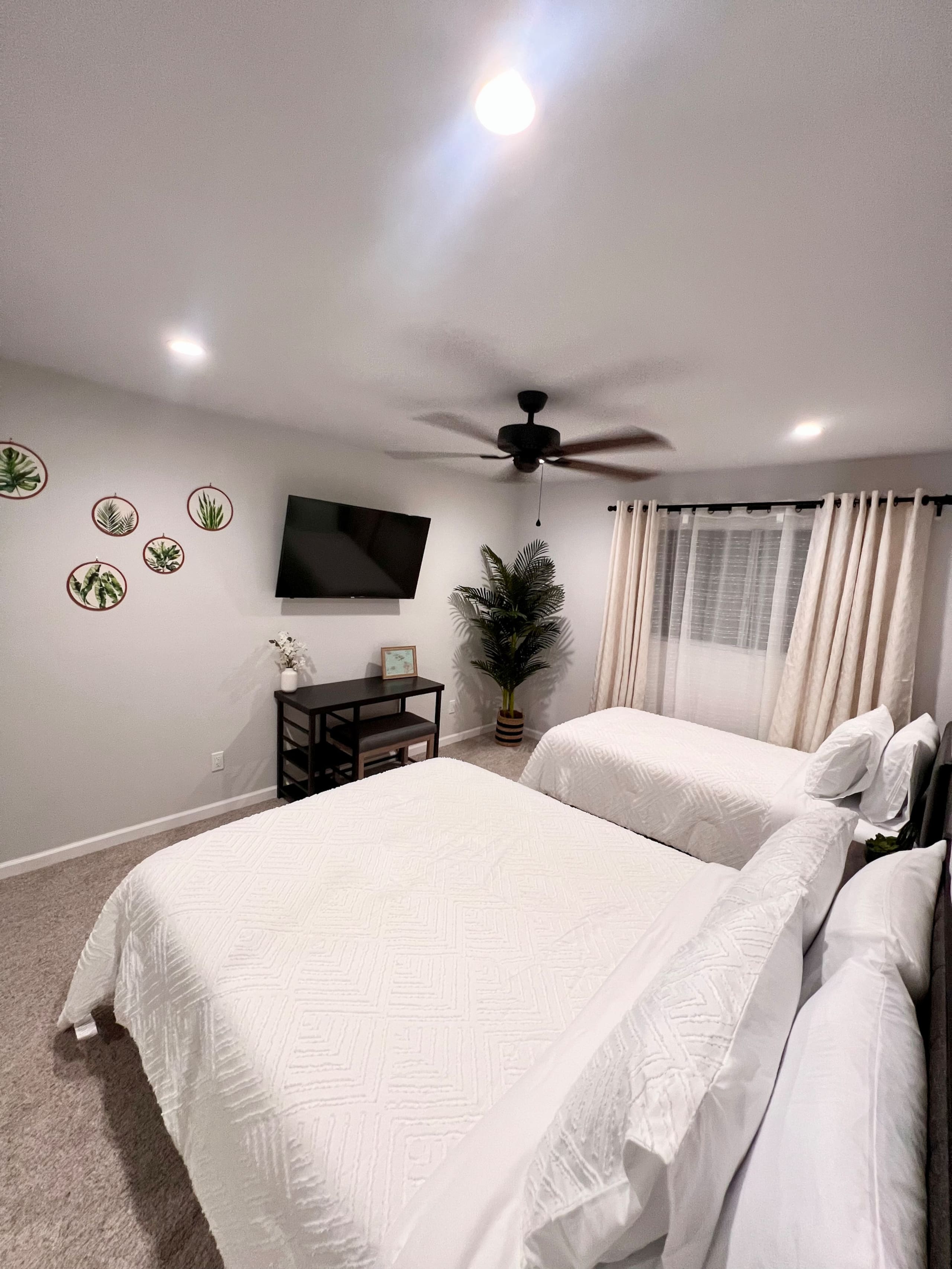 Guesthouse in Kailua-Kona · ★4.98 · 2 bedrooms · 3 beds · 1 bath - Image 11
