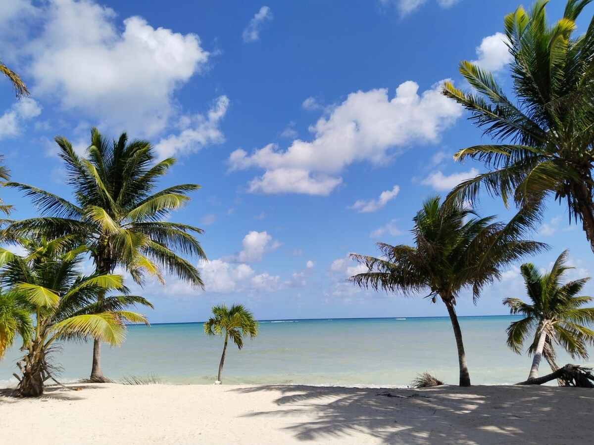 A sandy beach stretches towards calm turquoise waters, bordered by lush palm trees swaying gently under a bright blue sky dotted with fluffy white clouds. The scene captures a tranquil coastal environment, ideal for relaxation and outdoor activities.