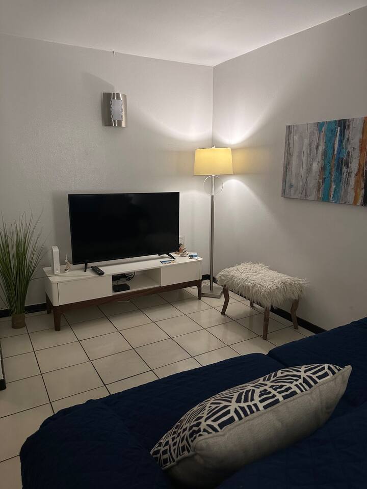 Centrally, at heart of Condado Apartments for Rent in San Juan, San