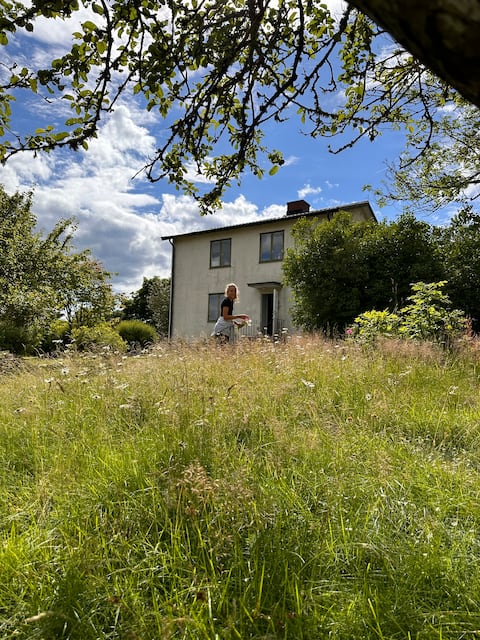 Close to nature accommodation with beautiful views, 9 beds