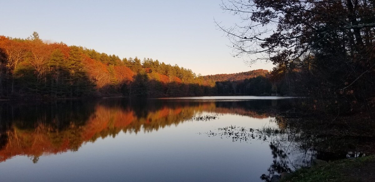 A serene lake is surrounded by colorful autumn foliage and tall trees. The calm water reflects the vibrant hues of the landscape, creating a peaceful atmosphere. The scene is framed by overhanging branches, inviting contemplation of nature's beauty.