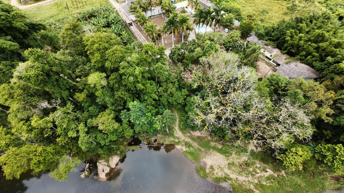 An aerial view captures a dense expanse of greenery surrounding a serene river. The landscape includes a swimming pool and a cluster of palm trees nearby, with pathways leading towards the water's edge. Natural elements blend seamlessly, creating a tranquil outdoor setting.