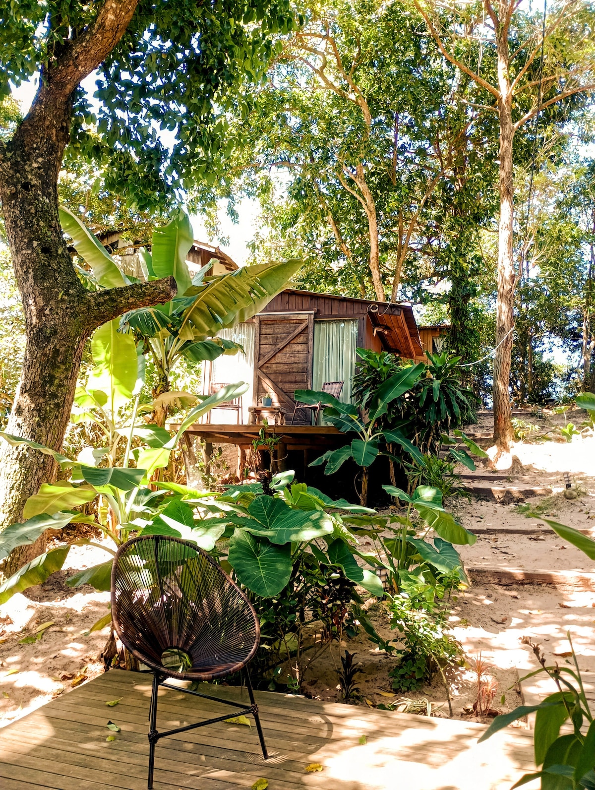 A charming cabin nestled among lush greenery and trees, featuring a wooden deck and a simple black chair. The surrounding tropical plants, including large banana leaves and decorative foliage, create a serene atmosphere, enhancing the connection with nature.