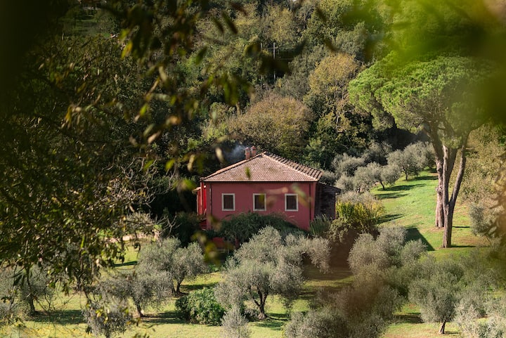 Villa Flavia - Pool & Outdoor Living