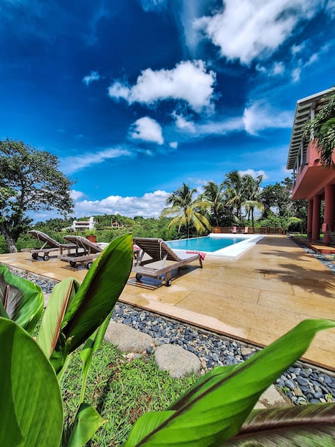 Villa La Jungla featuring a New Pool