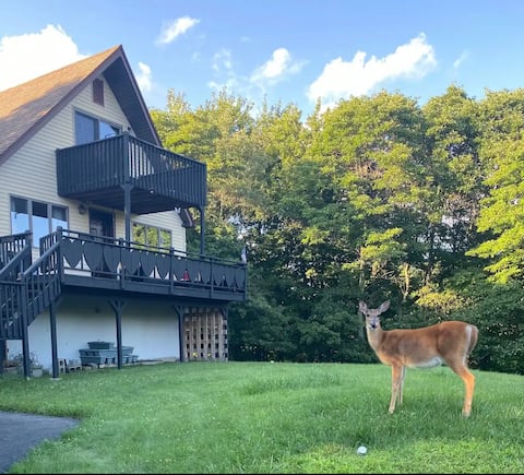 Charming cottage on a hill