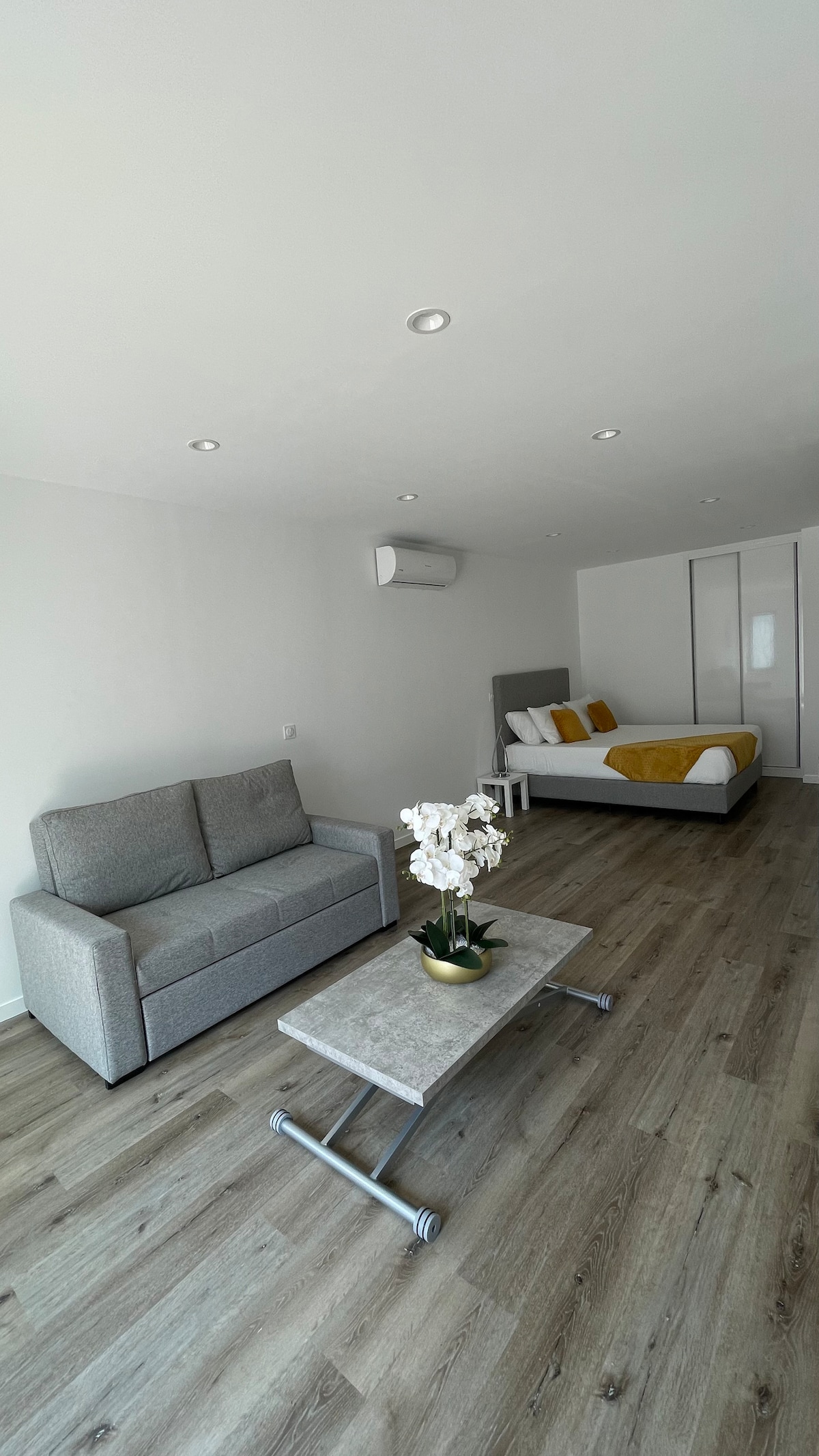 A bright and airy studio space features a comfortable sofa and a coffee table with a decorative plant. A spacious bed is positioned in the background, complemented by soft bedding. The modern decor is enhanced by light hardwood flooring and recessed lighting in the ceiling.