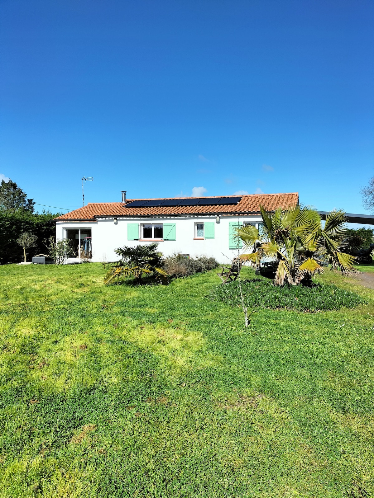 A single-story house with a light green exterior and classic red tiled roof is surrounded by a lush green lawn. Palm trees and shrubbery provide natural decoration, while a clear blue sky adds to the tranquil setting.