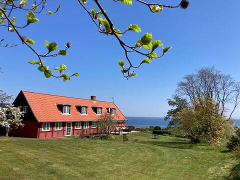 “Wildernest Bornholm"