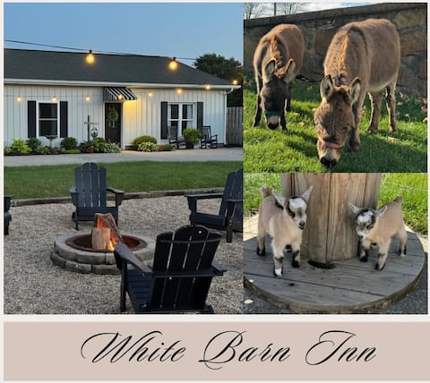 Farm stay in Amish Country - 4 Bedroom 2 Bath