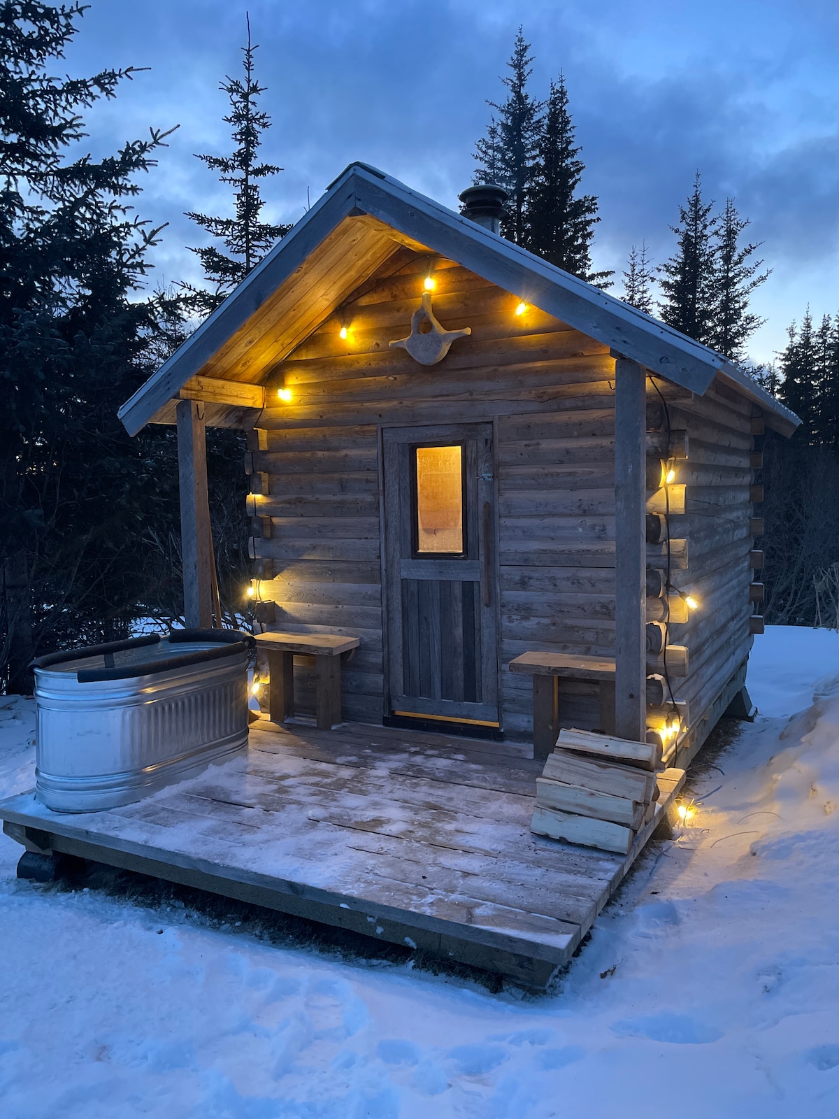 A small, charming log cabin is depicted, adorned with warm string lights. The front porch features two wooden benches and a rustic door, with a frosted window inviting gentle light. Surrounding snow enhances the cozy atmosphere, complemented by tall evergreen trees in the background.