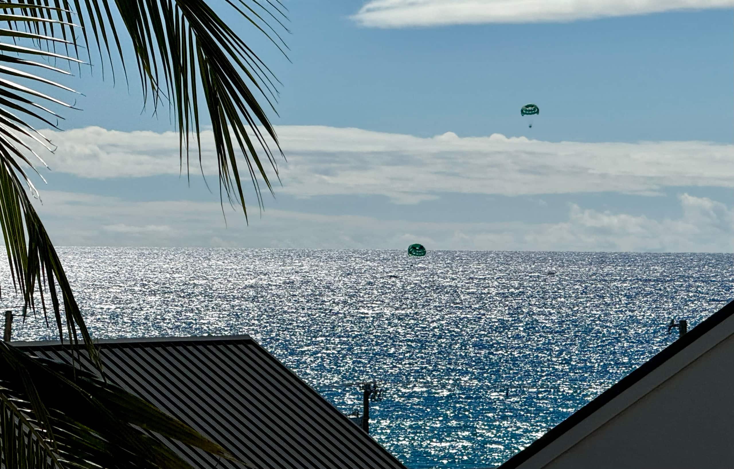 Condo in Kailua-Kona · ★4.96 · 1 bedroom · 1 bed · 1 bath - Image 39