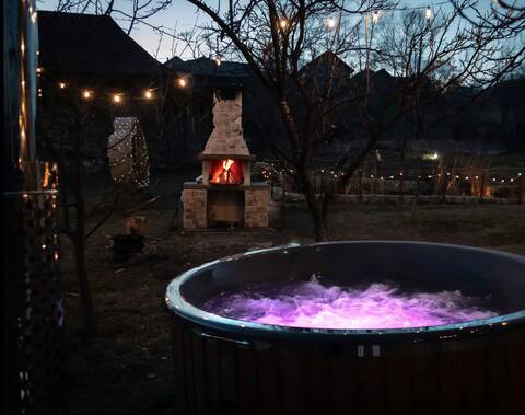 Spacious cabin in nature