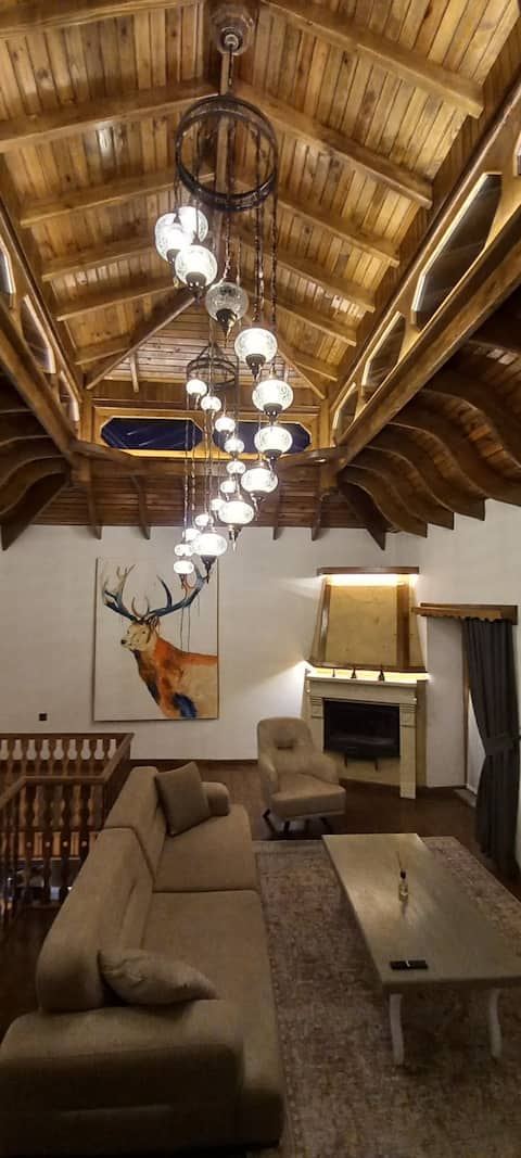 140 years of stone and tree splendor