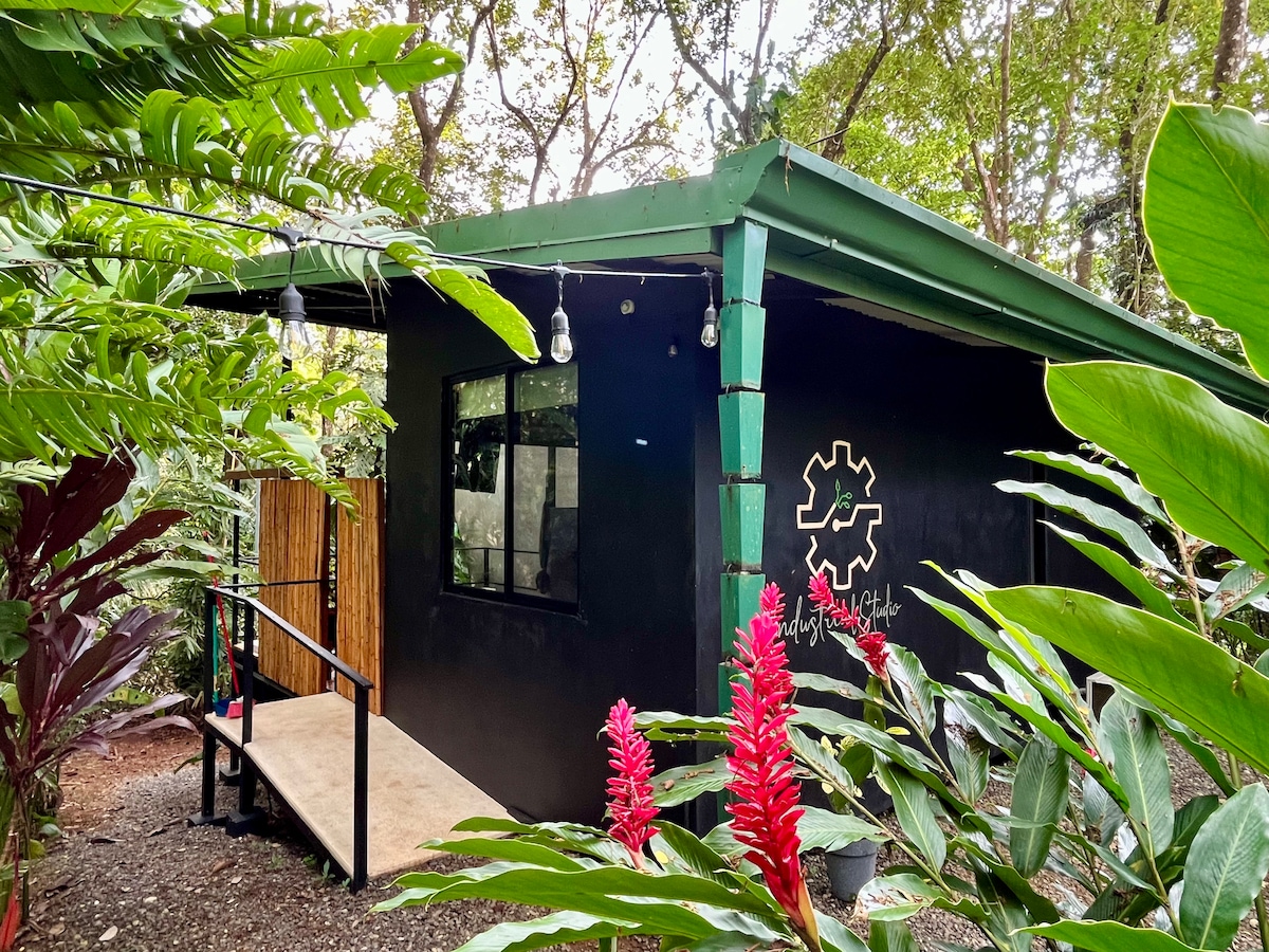 A compact studio is nestled among lush greenery, featuring a black exterior and large windows. Vibrant red ginger plants frame the entrance, which is complemented by a wooden deck and gentle lighting. The surrounding foliage provides a serene, natural ambiance.