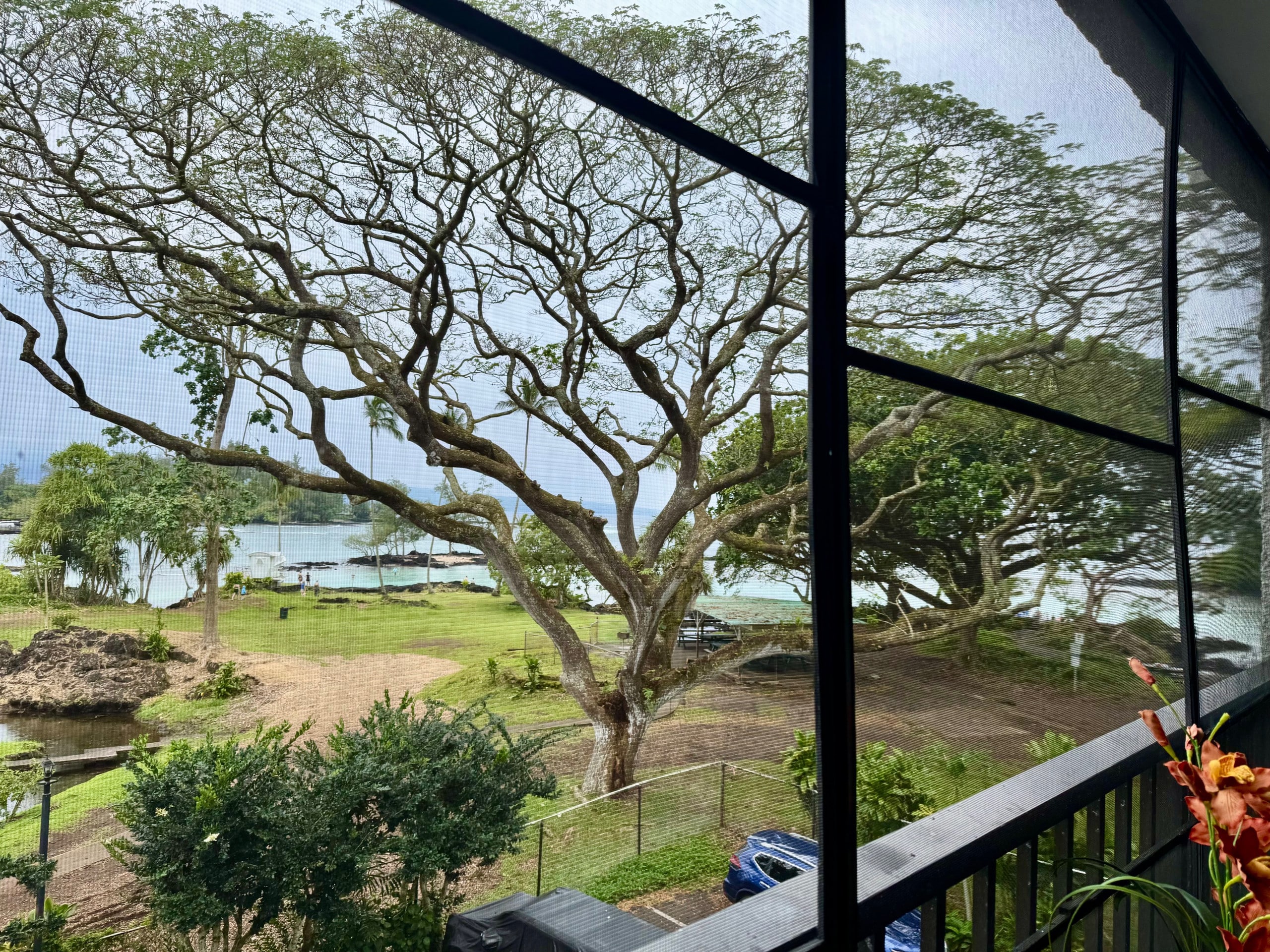 Condo in Hilo · ★4.72 · 2 bedrooms · 3 beds · 1 bath - Image 26