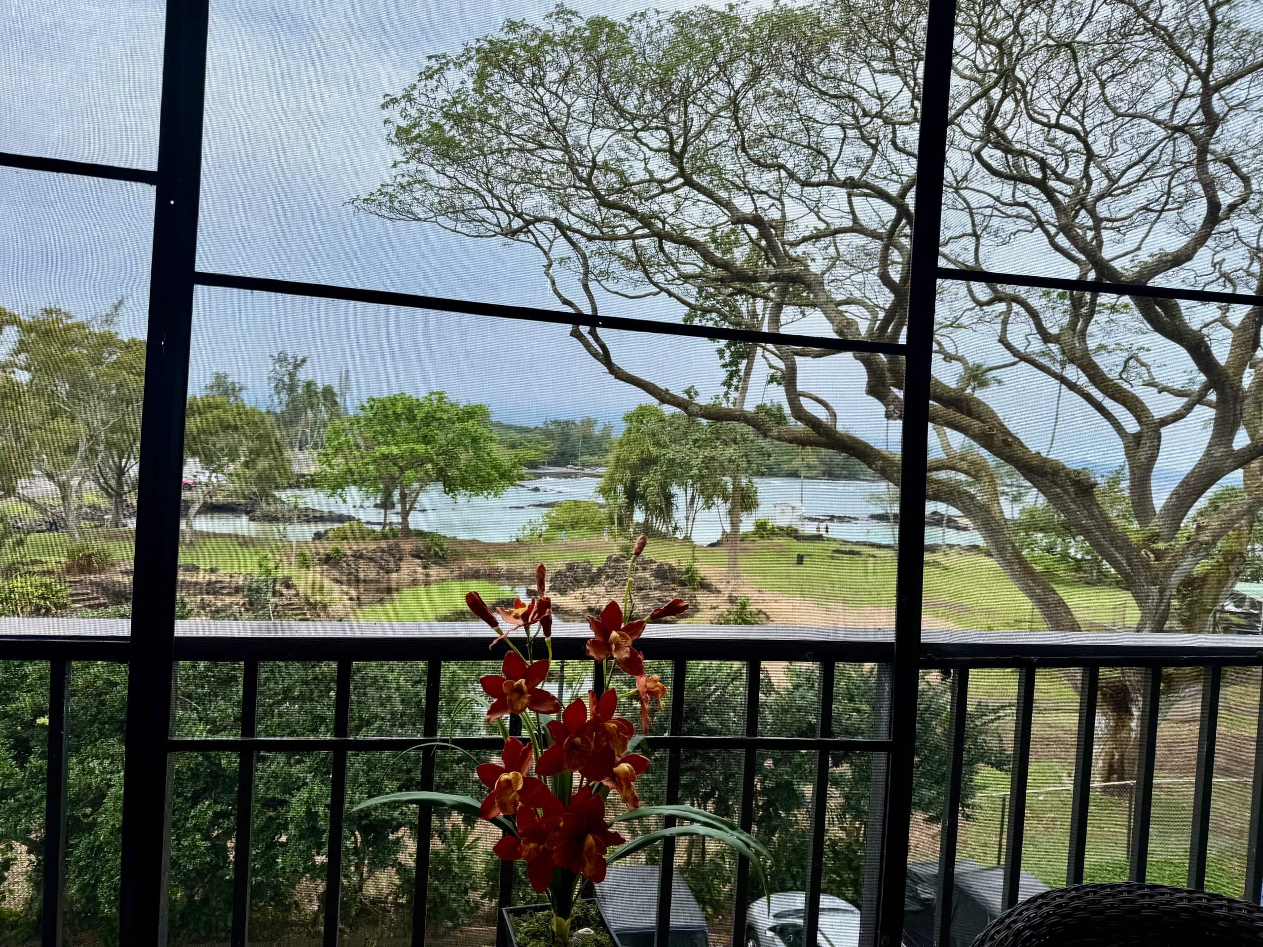 Condo in Hilo · ★4.72 · 2 bedrooms · 3 beds · 1 bath - Image 25
