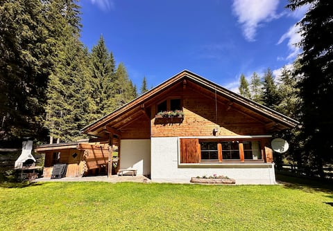 Cosy cabin in the Alps