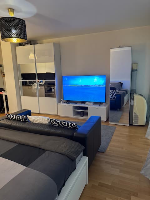 Top performing Airbnb: Beautiful modern apartment Plainpalais-Uni mail in Plainpalais