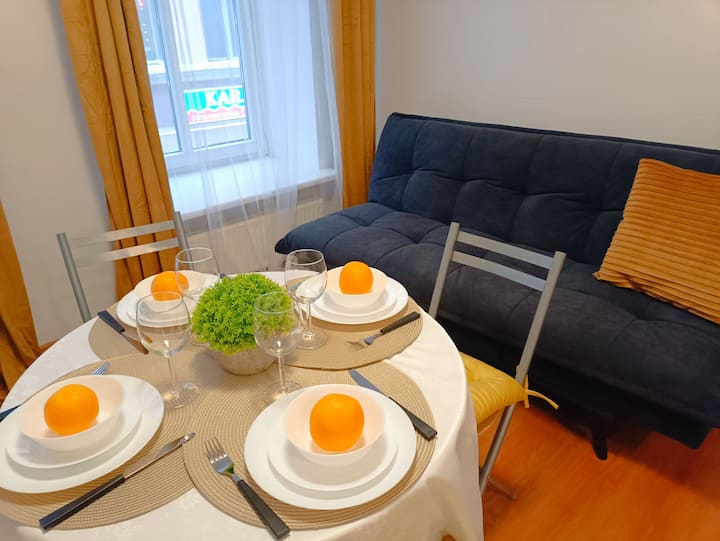 One Bedroom Spacious Apartment In Old Town Center - 裡加
