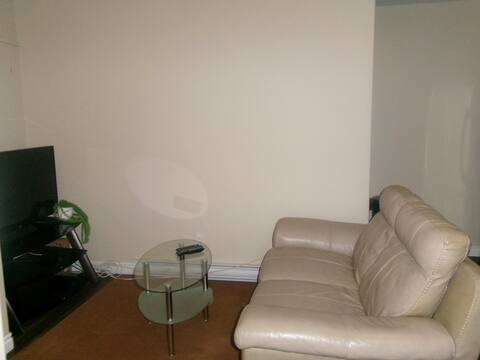 Entire Basement Suite