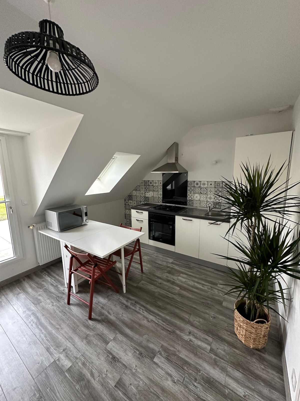 A compact kitchen area features a white table paired with two red chairs. Modern appliances, including a microwave and stovetop, are neatly arranged against patterned tiles. A tall potted plant adds a touch of greenery, while natural light filters through an angled window.