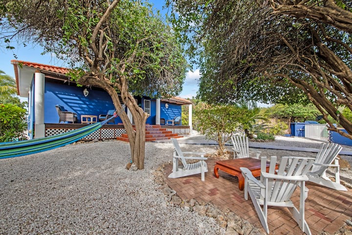 Villa Dolphin House Coral Estate Curacao - Houses for Rent in St