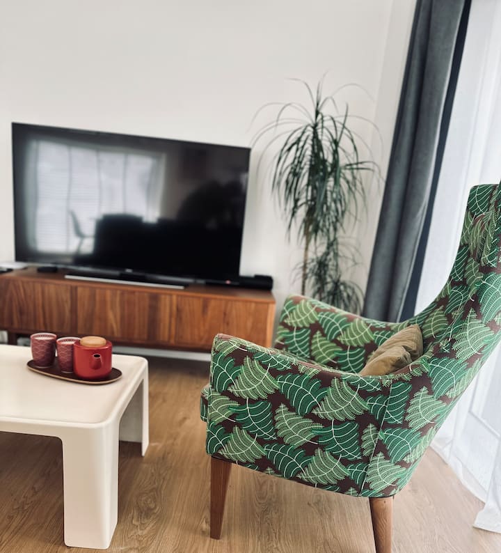 Appartement Lumineux - Dunkirk
