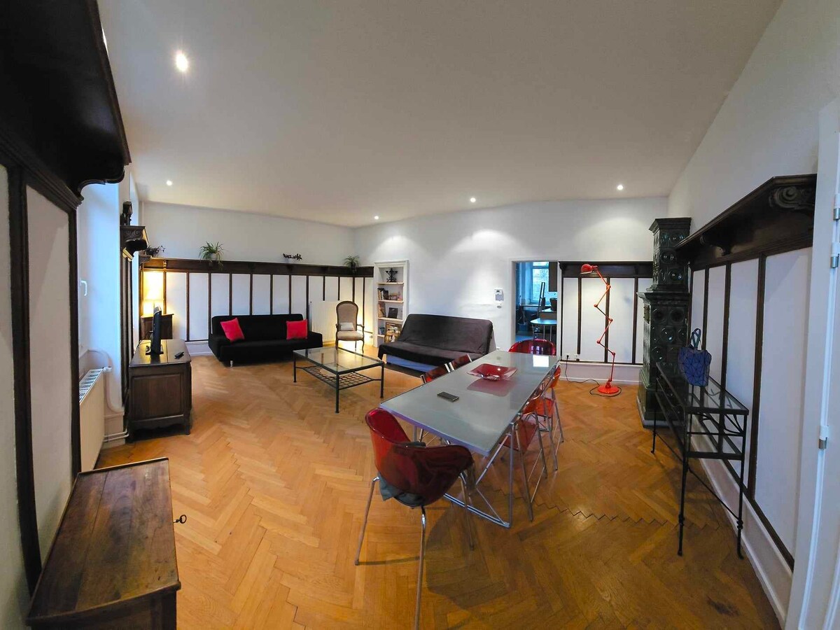 Le Marronier Apartments for Rent in Colmar, Grand Est, France Airbnb