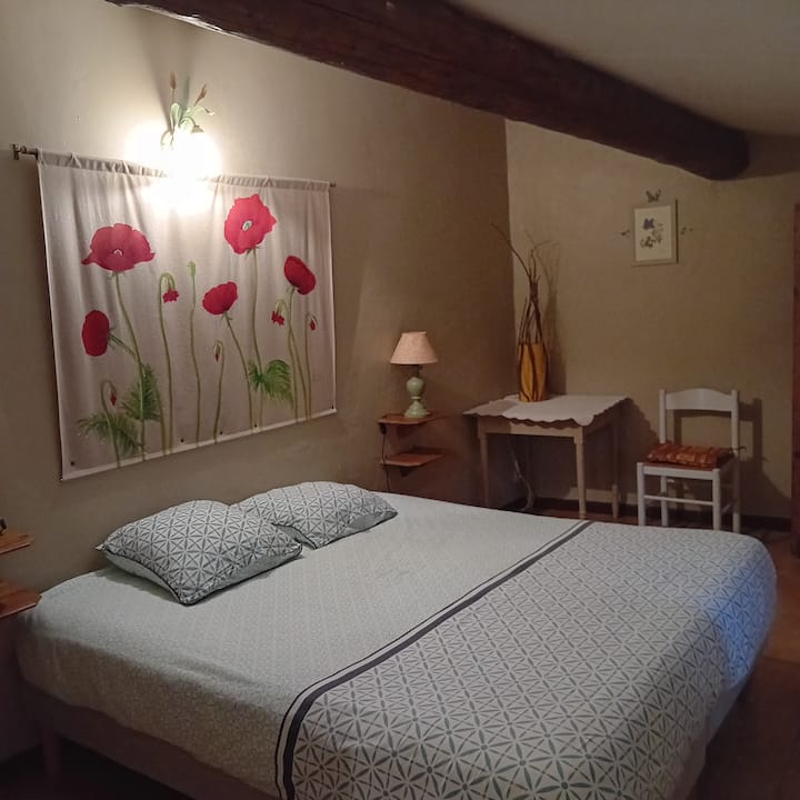 Habitación «DAME DE 11 HEURES» 