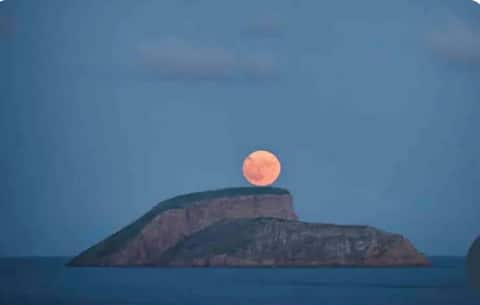 ocean front stunning views - jaccuzzi